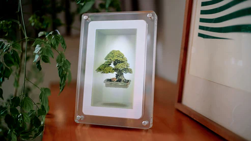 Holographic Photo & Video Frame Bring Your Favorite Memories to Life
