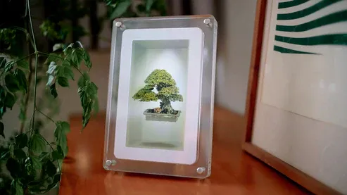 Holographic Photo & Video Frame Bring Your Favorite Memories to Life