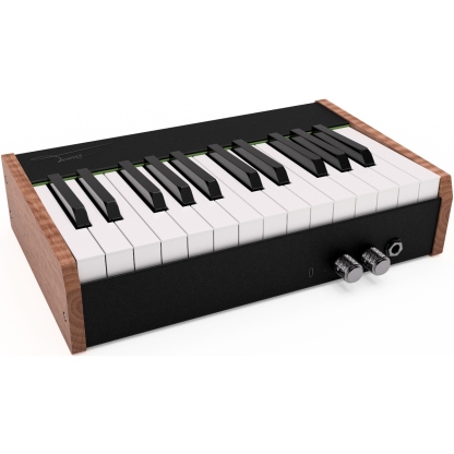 🎹 Digital Wood Piano – 37 Weighted Keys, Portable Design with Sustain Pedal