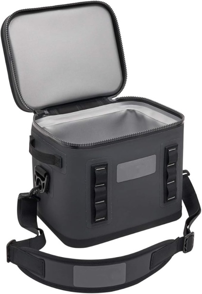 Portable cooler