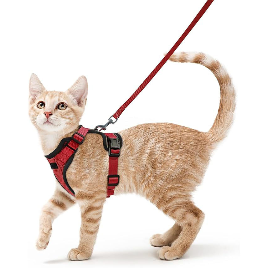 Cat Harness Vest – Escape-Proof, Soft Adjustable, Breathable with Reflective Stripe