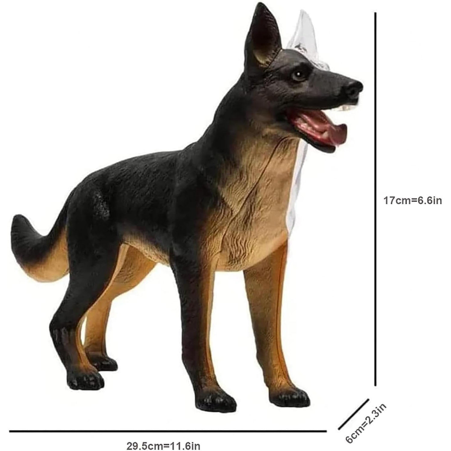 4D Vision Dog Anatomy Model – 29 Removable Parts