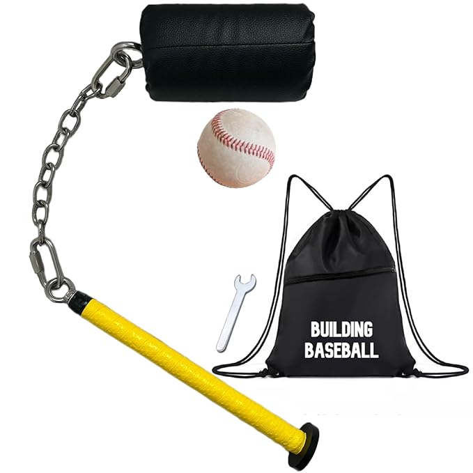 Whip-shaped baseball bat - baseball and softball batting training aid