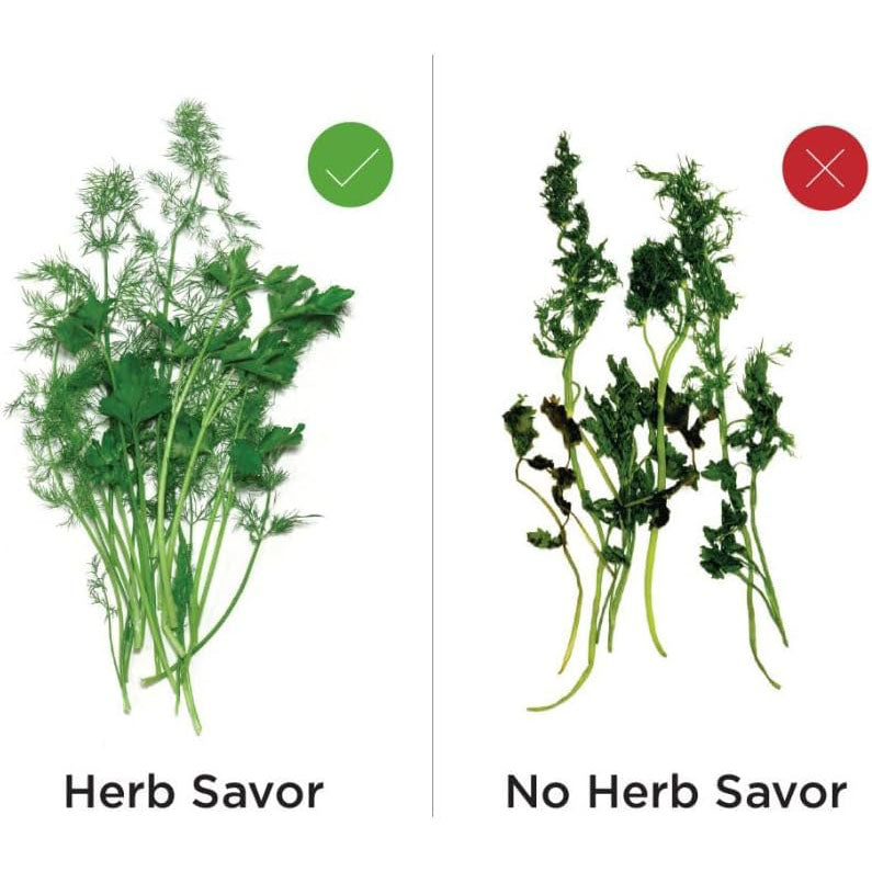 Eco-Friendly Herb Keeper – Keeps Herbs Fresh Up to 3 Weeks