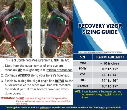 UV Protective Horse Eye Mask for Injury and Sensitivity Support