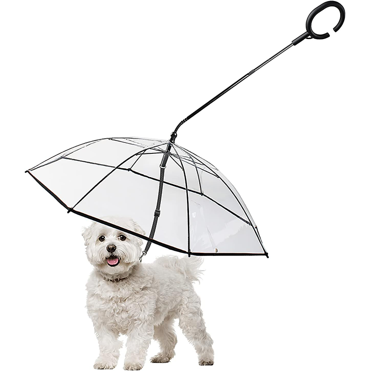 Dog sunshade for rainy days, with adjustable leash