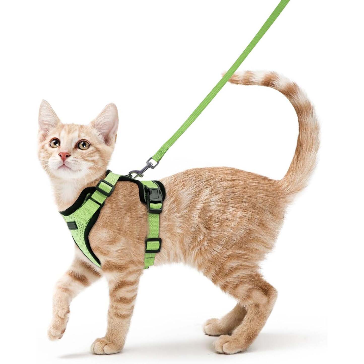 Cat Harness Vest – Escape-Proof, Soft Adjustable, Breathable with Reflective Stripe