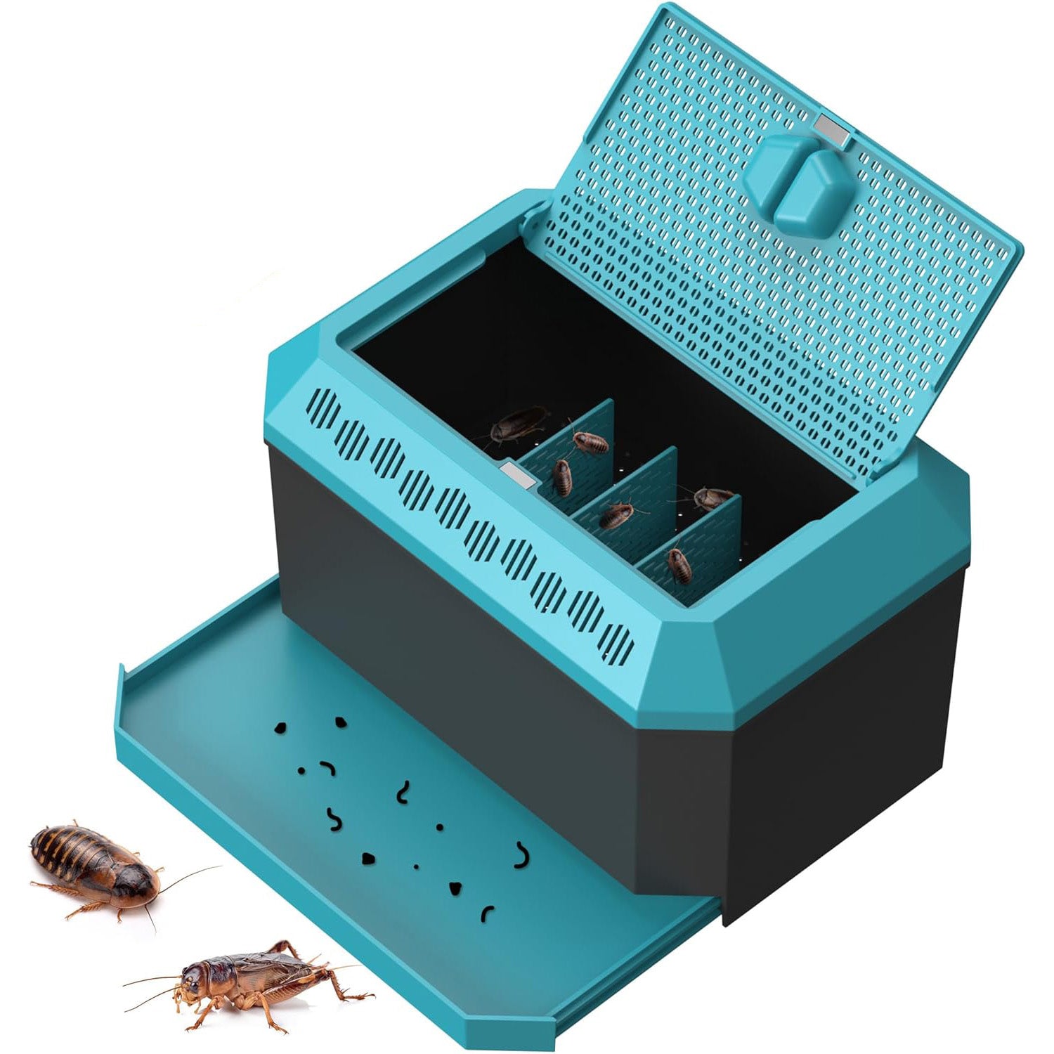 Multi-purpose Insect Habitat – Ventilated Breeding & Storage Box