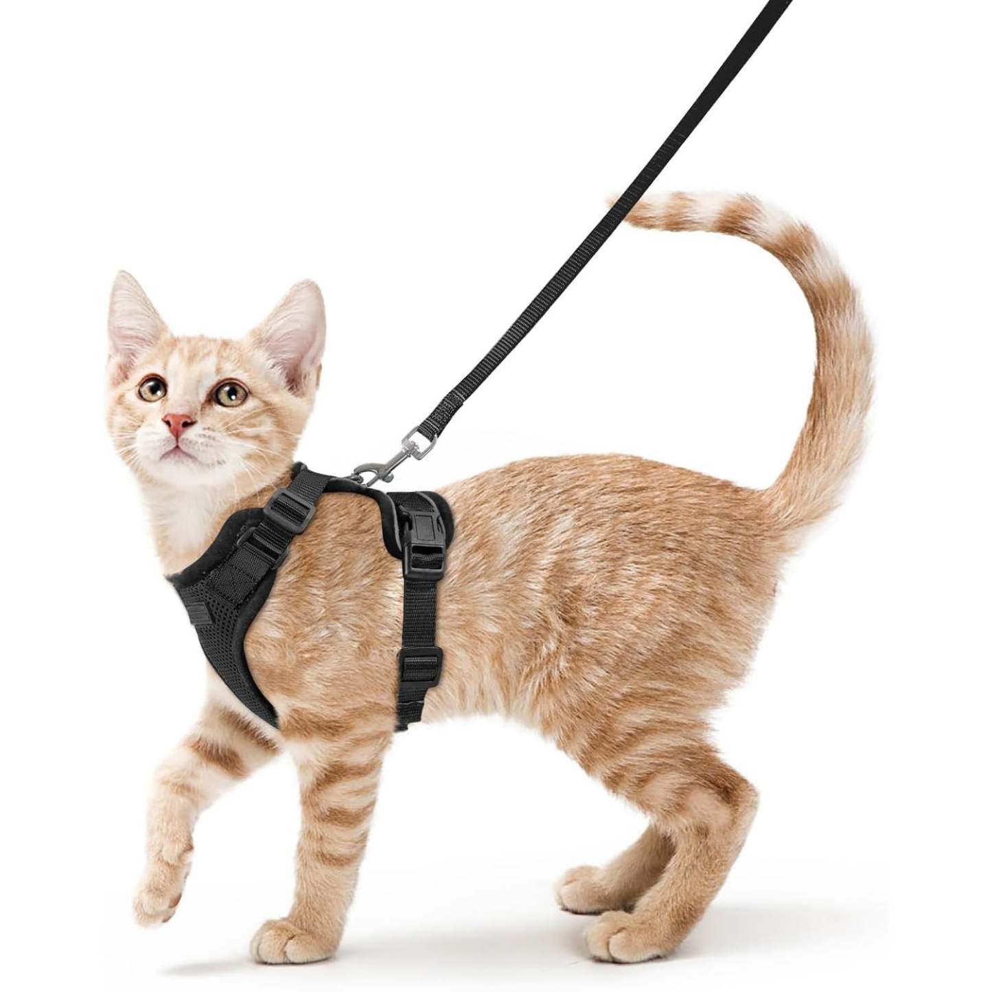 Cat Harness Vest – Escape-Proof, Soft Adjustable, Breathable with Reflective Stripe