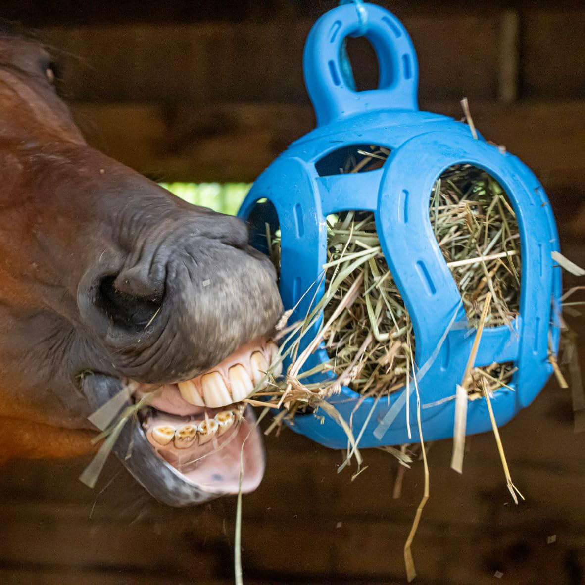 Interactive Hay Ball – Hay Dispenser & Treat Toy