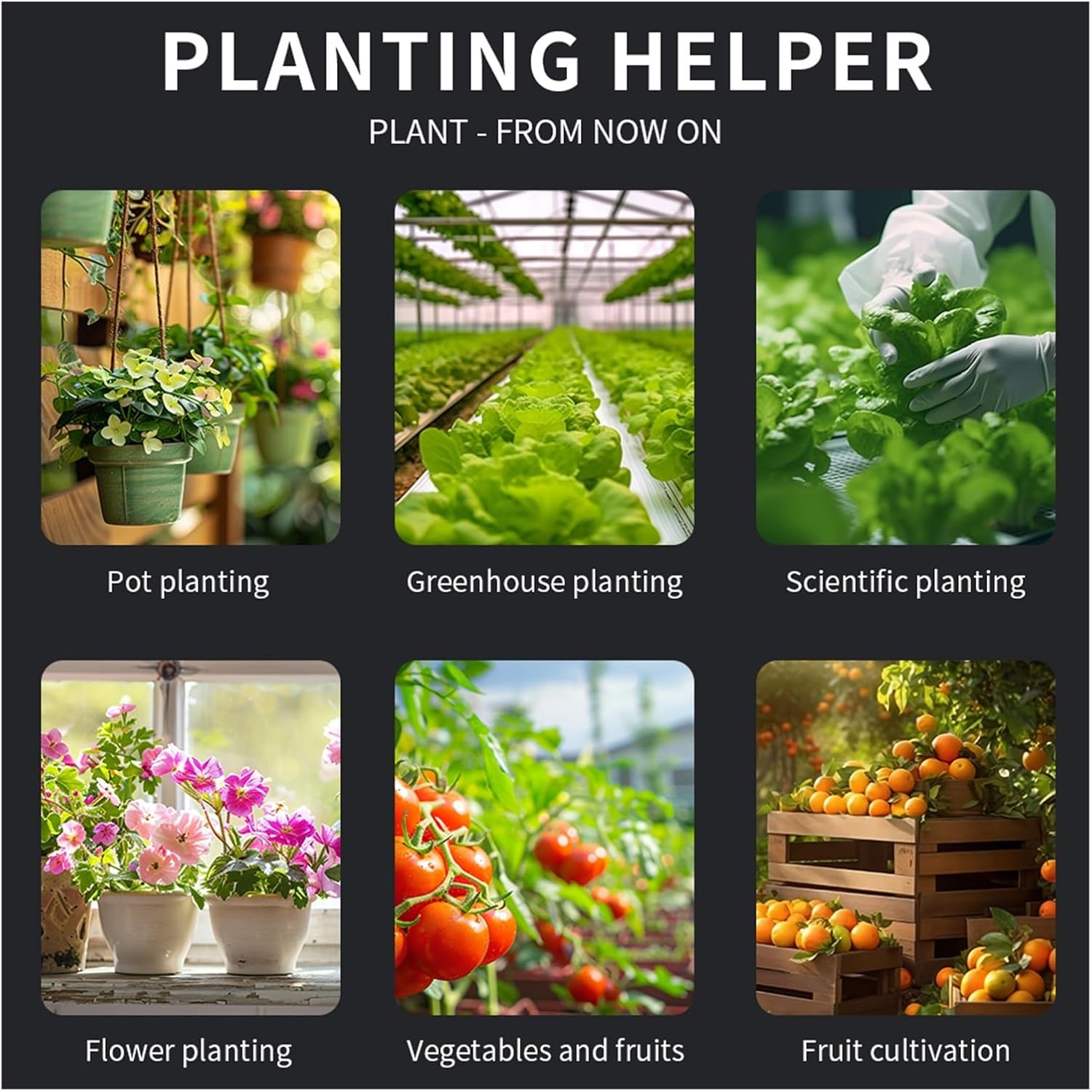 Soil nutrient tester, 6-in-1 soil pH meter