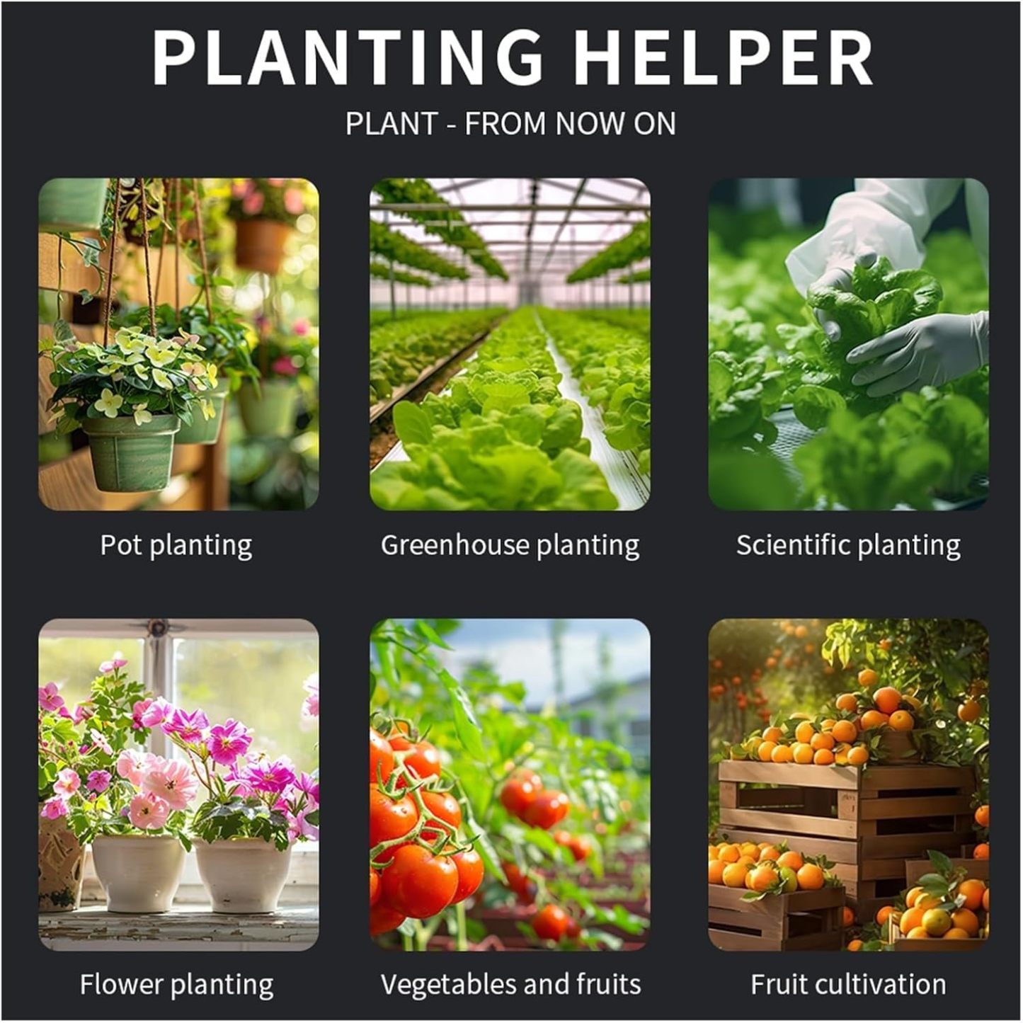 Soil nutrient tester, 6-in-1 soil pH meter