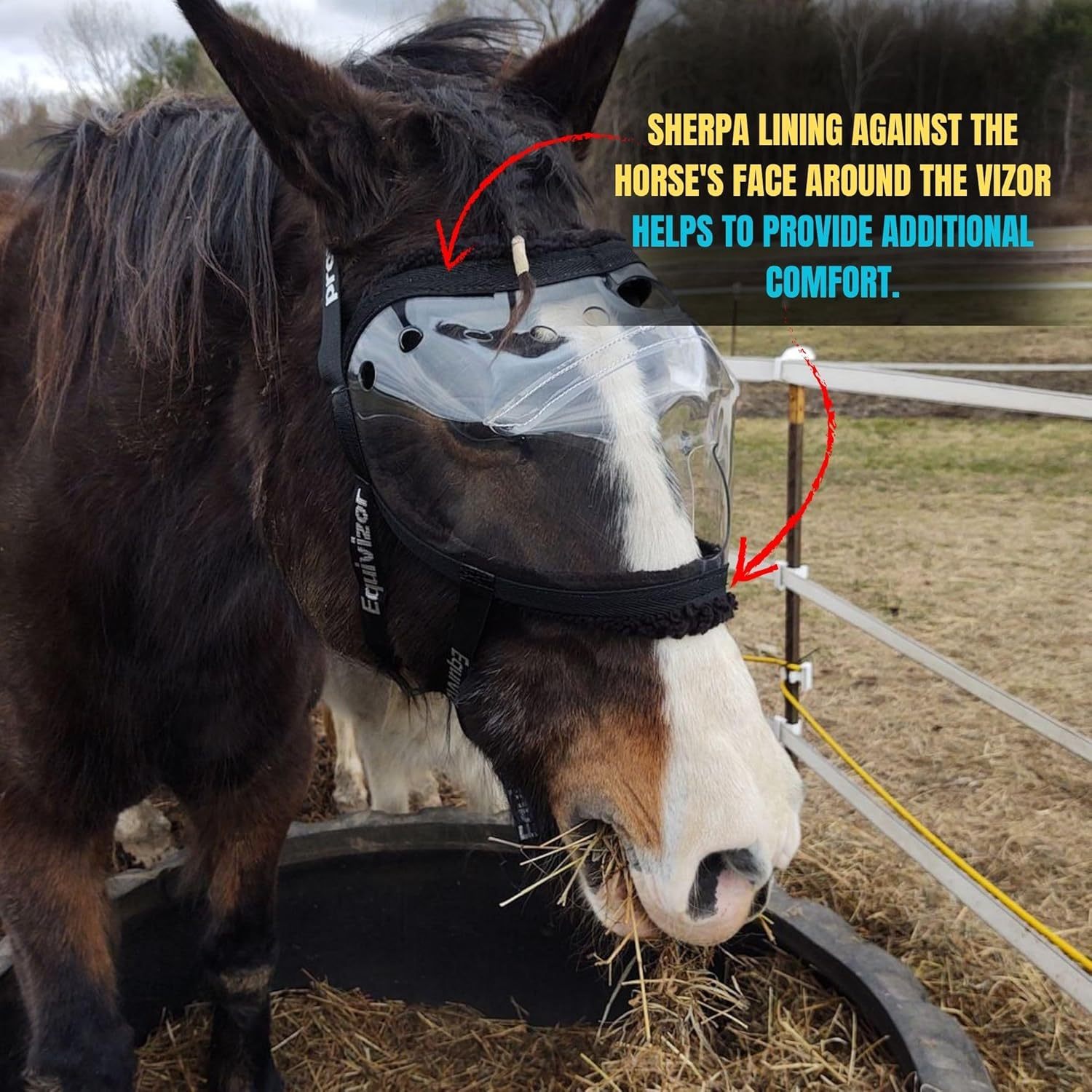 UV Protective Horse Eye Mask for Injury and Sensitivity Support