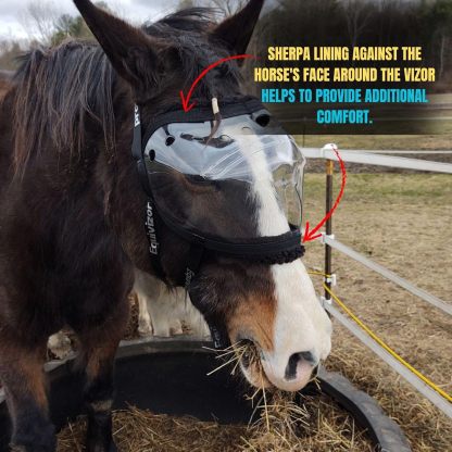 UV Protective Horse Eye Mask for Injury and Sensitivity Support