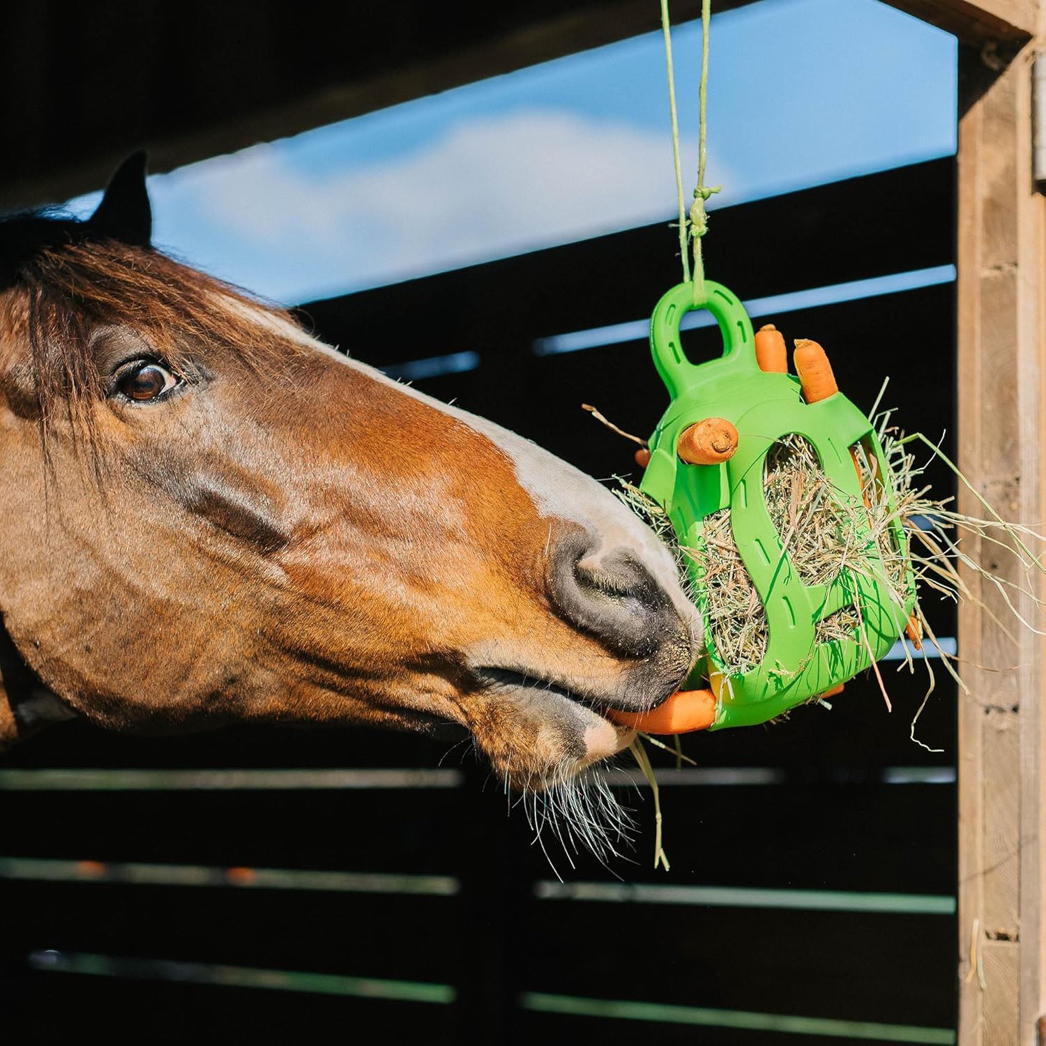Interactive Hay Ball – Hay Dispenser & Treat Toy