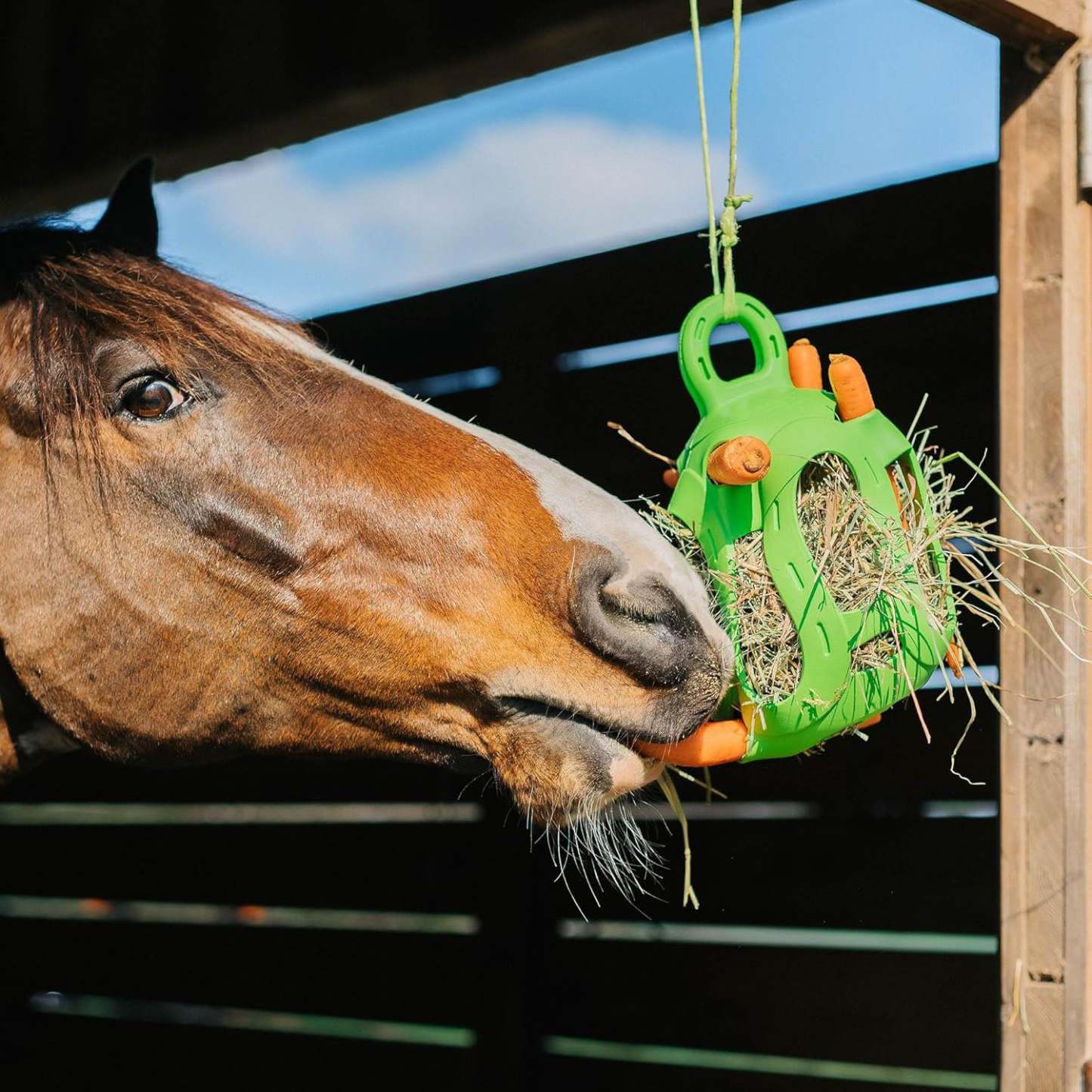 Interactive Hay Ball – Hay Dispenser & Treat Toy