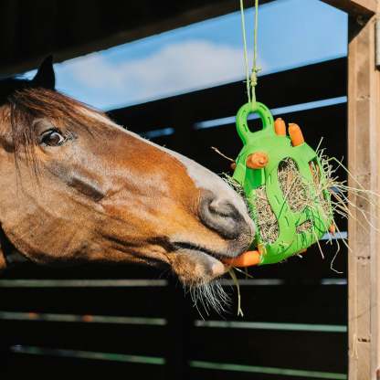 Interactive Hay Ball – Hay Dispenser & Treat Toy
