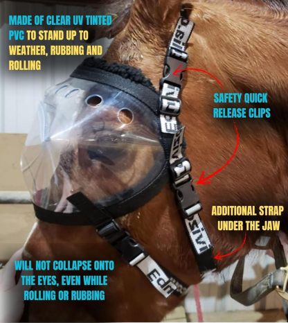 UV Protective Horse Eye Mask for Injury and Sensitivity Support