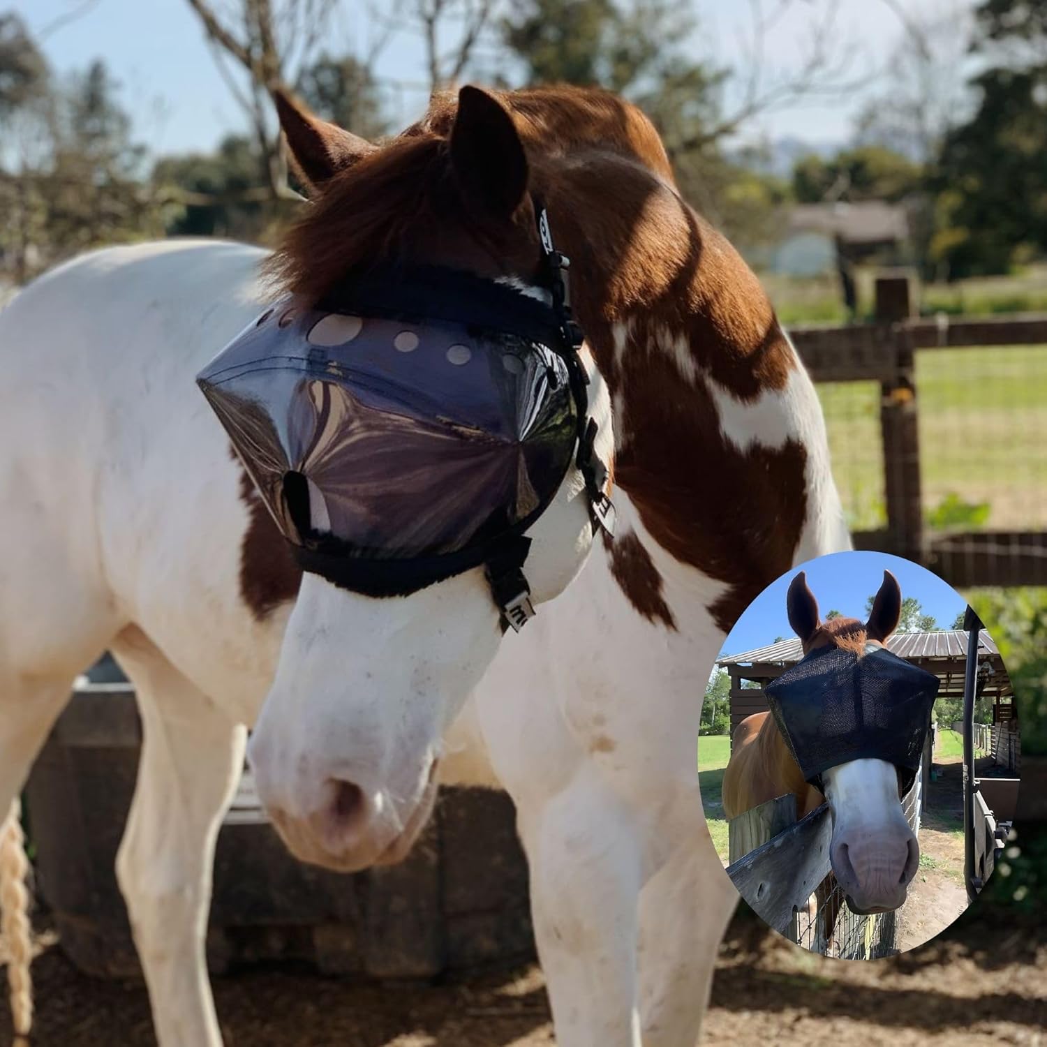 UV Protective Horse Eye Mask for Injury and Sensitivity Support
