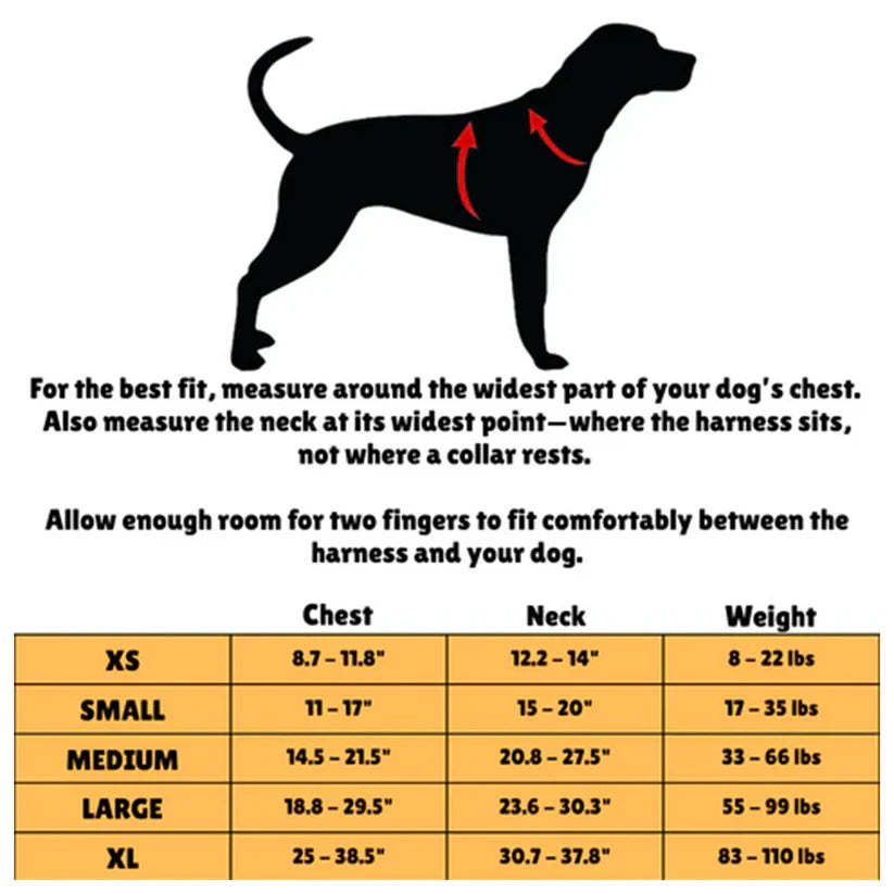 Magnetic chest strap and traction rope