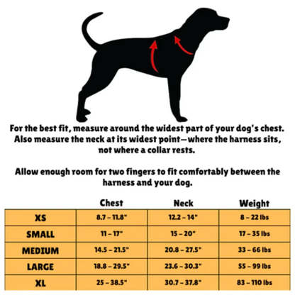 Magnetic chest strap and traction rope