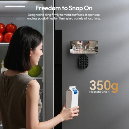 3-in-1 Smartphone Mount with Suction Cups