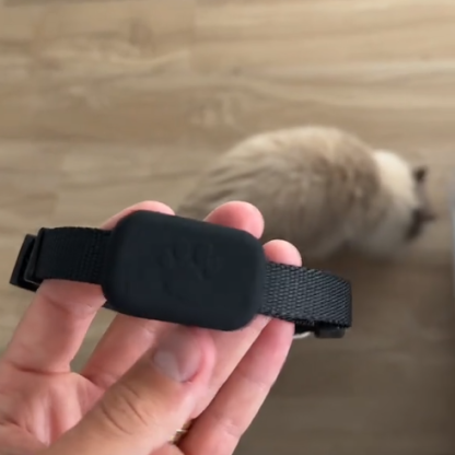 GPS Tracker for Small Dogs & Outdoor Cats – Real-Time Pet Collar Tracker