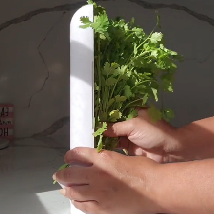 Eco-Friendly Herb Keeper – Keeps Herbs Fresh Up to 3 Weeks