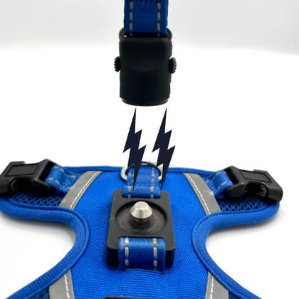 Magnetic chest strap and traction rope