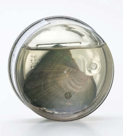 Valentine's Day Pearl Necklace Gift Box