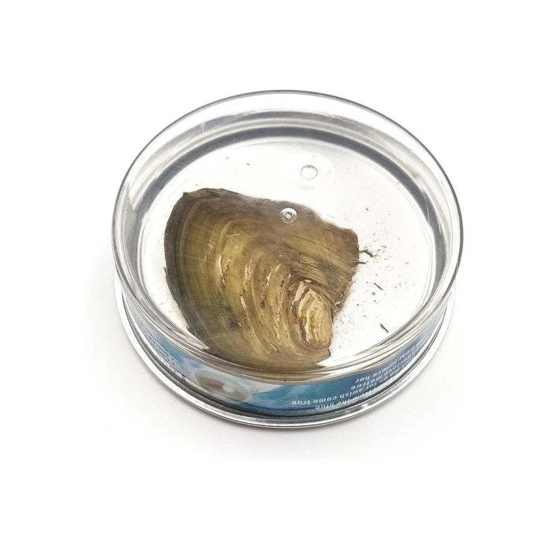 Valentine's Day Pearl Necklace Gift Box