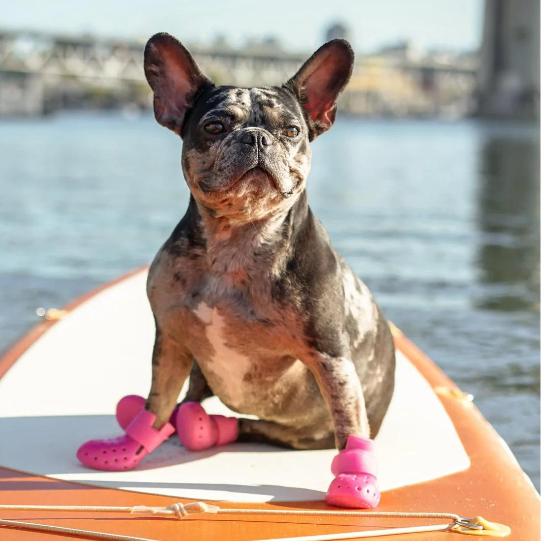 Breathable Dog Boots – Summer Paw Protection for Hot Pavement