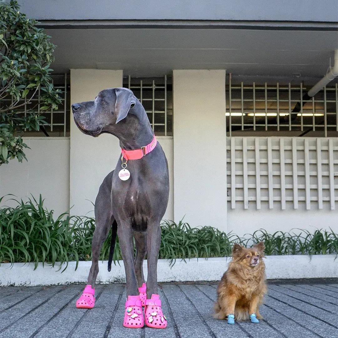 Breathable Dog Boots – Summer Paw Protection for Hot Pavement
