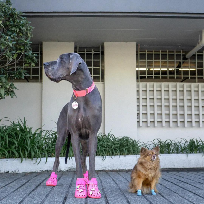 Breathable Dog Boots – Summer Paw Protection for Hot Pavement