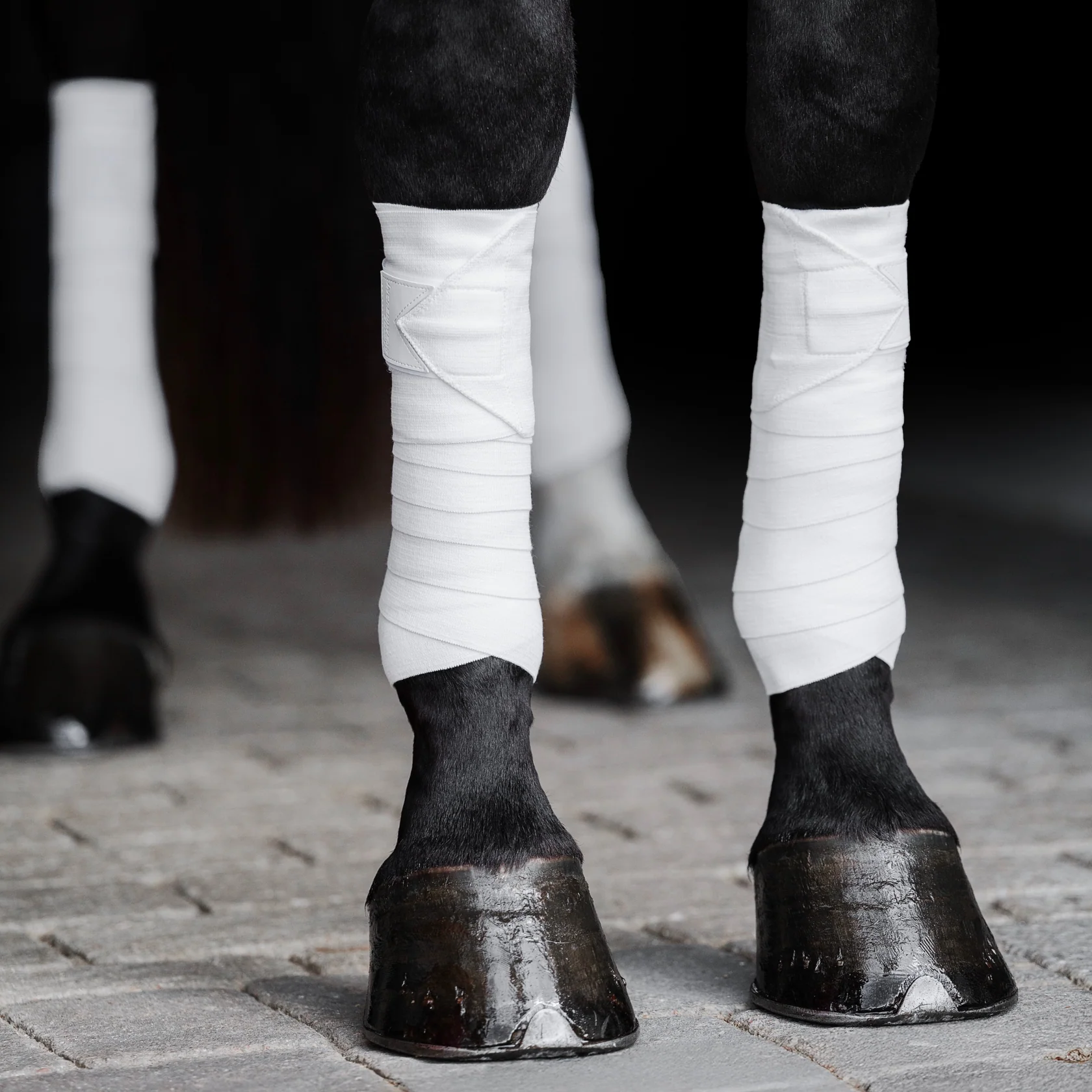 Black Circulation Sports Bandages | Equine Support Wraps | Faster Recovery