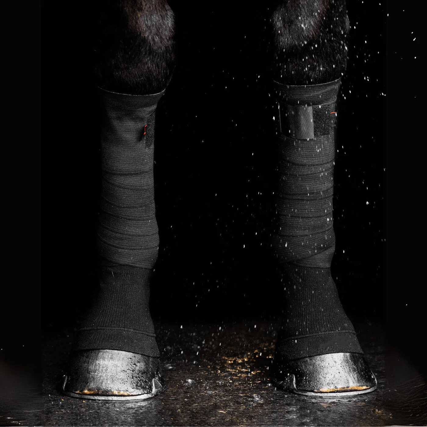 Black Circulation Sports Bandages | Equine Support Wraps | Faster Recovery