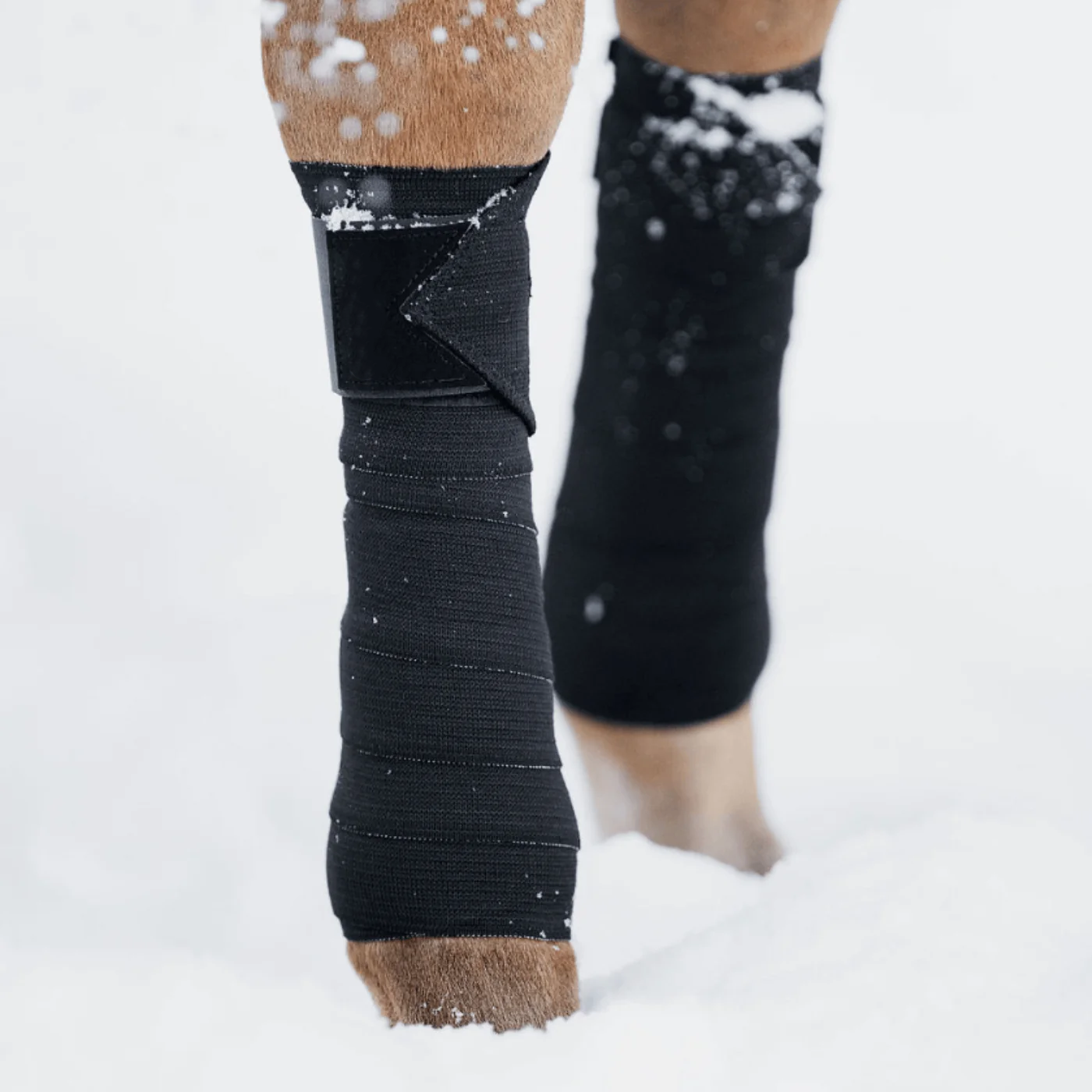 Black Circulation Sports Bandages | Equine Support Wraps | Faster Recovery