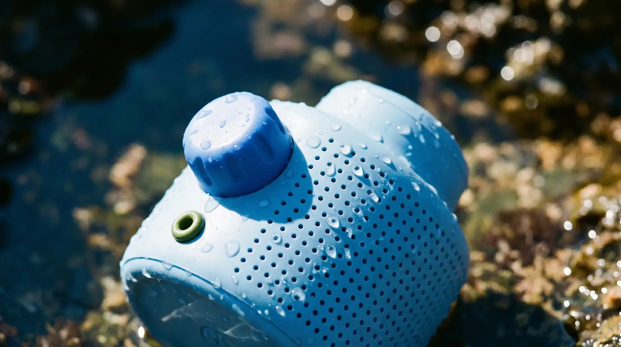 A World Inside a Speaker– Ever-Changing Soundscapes from Tiny Living Worlds