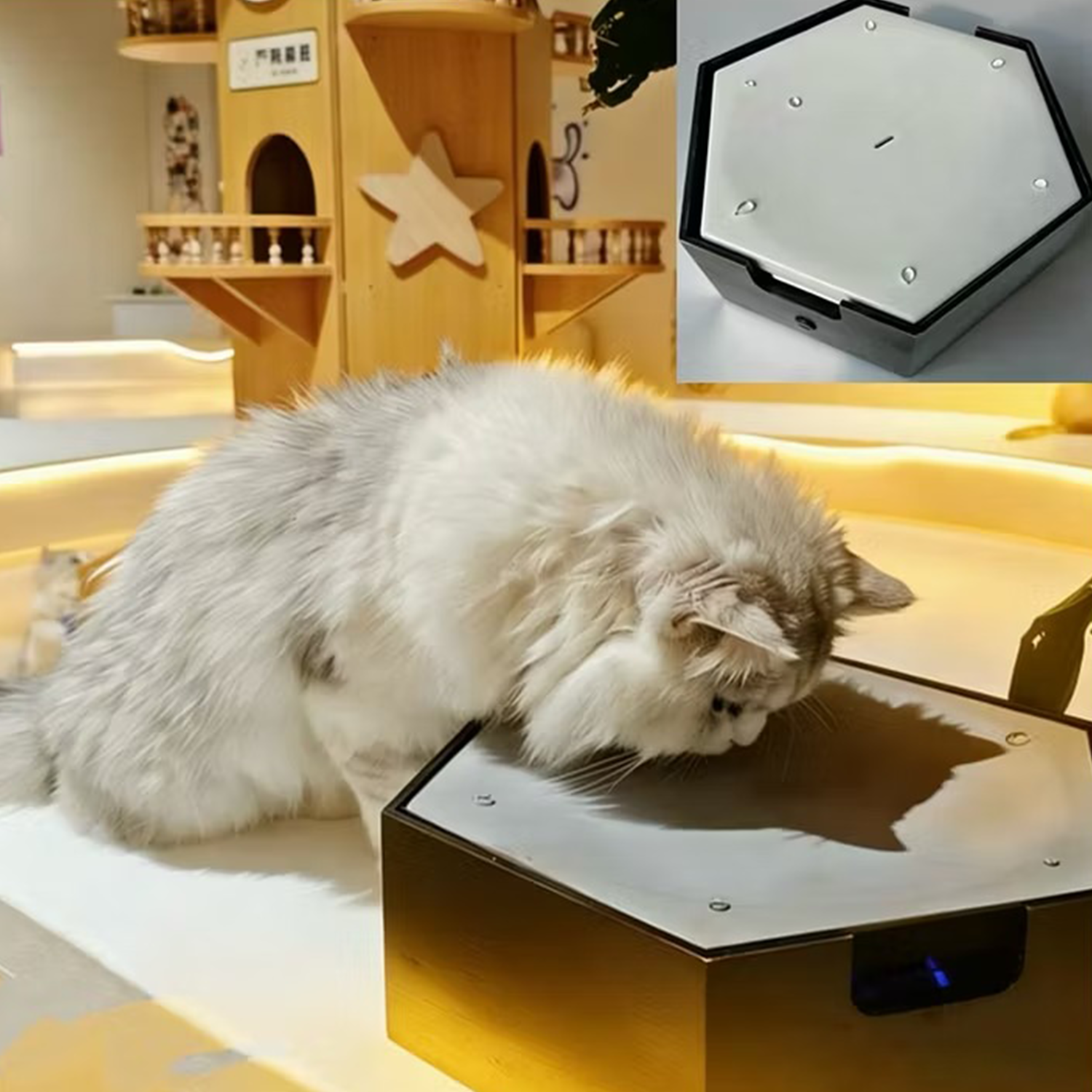 Interactive dripping cat toy fountain