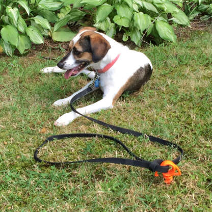 Small Spiral Ground Anchor – Lightweight, Durable, and Easy to Install for Outdoor