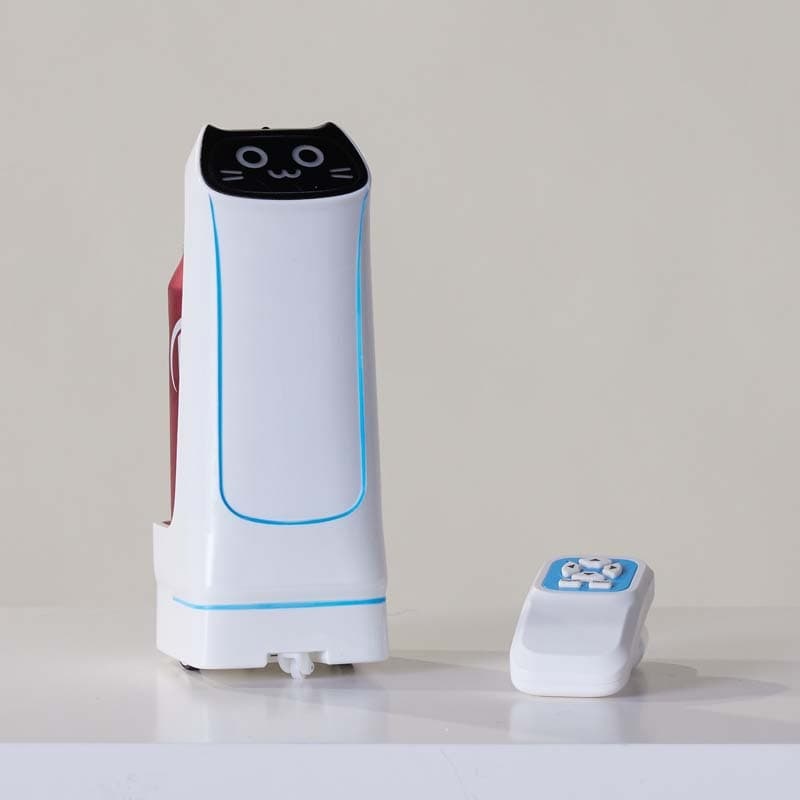 Remote-Controlled Delivery Robot with LED Lights and Navigation