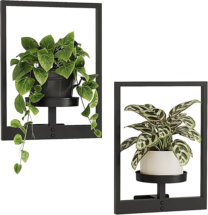 Modern Metal Wall-Mounted Plant Shelf | Indoor/Outdoor Vertical Garden Decor