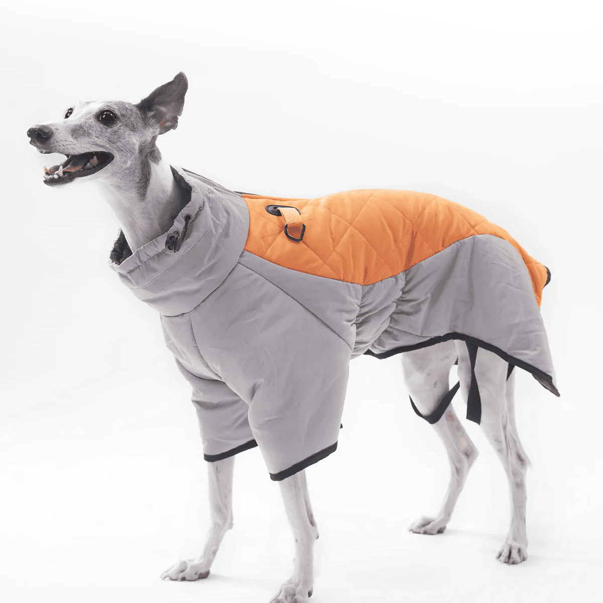 Dog Winter Coat