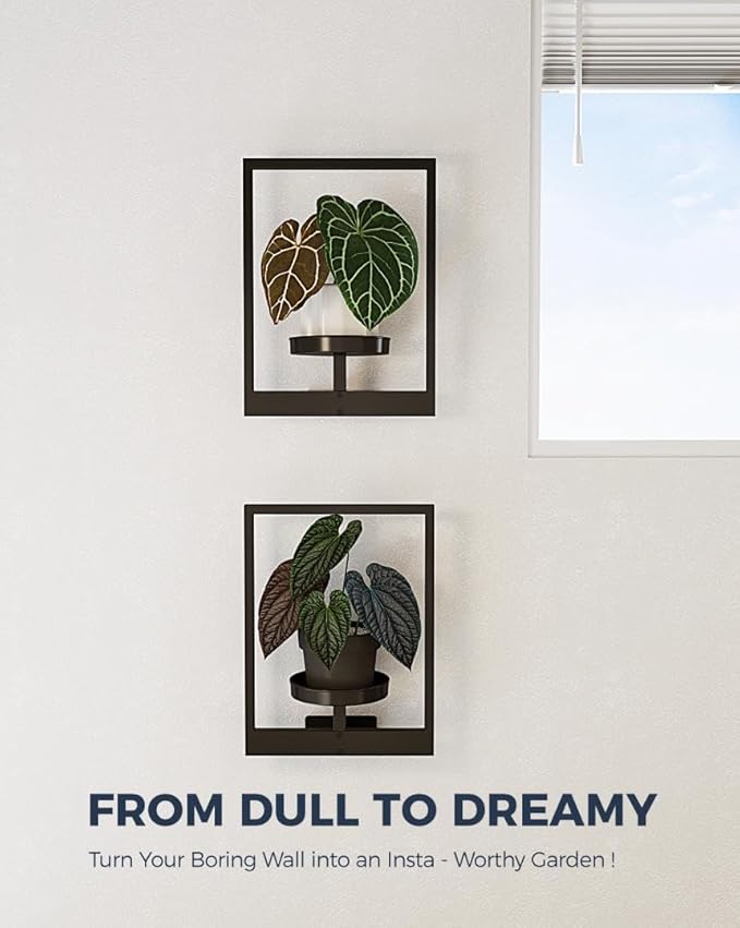 Modern Metal Wall-Mounted Plant Shelf | Indoor/Outdoor Vertical Garden Decor