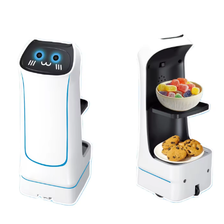 Remote-Controlled Delivery Robot with LED Lights and Navigation