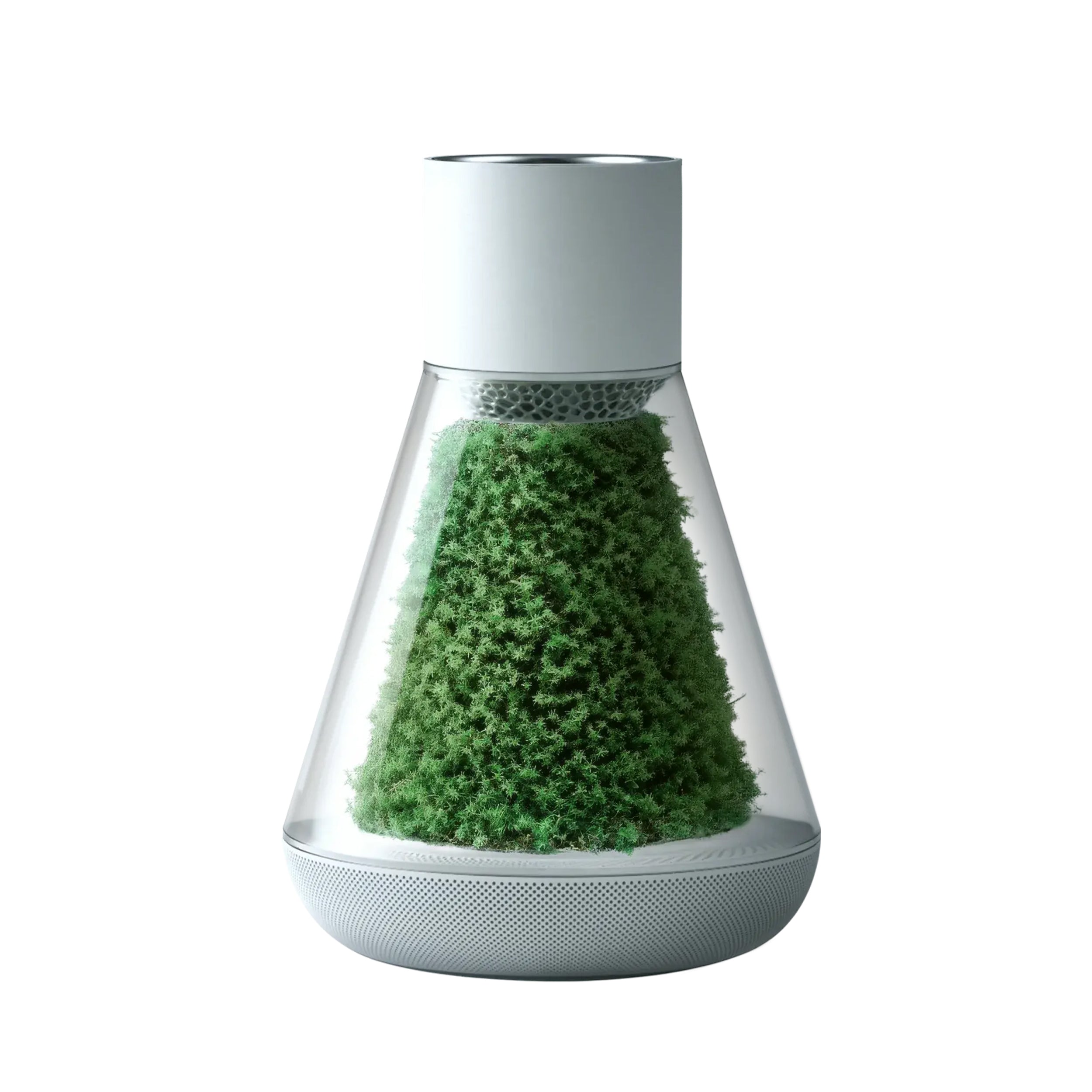 Perfect desktop flower pot