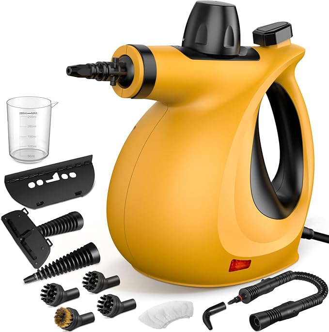 Pressurized handheld multi-functional natural steam cleaner