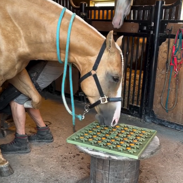 Feeding Activity Mat for Horses, Food-Grade Silicone, Stimulates Mental Development