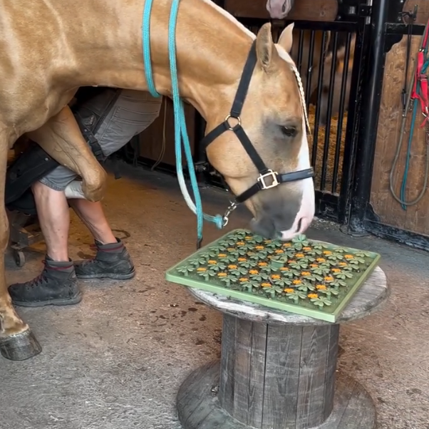Feeding Activity Mat for Horses, Food-Grade Silicone, Stimulates Mental Development