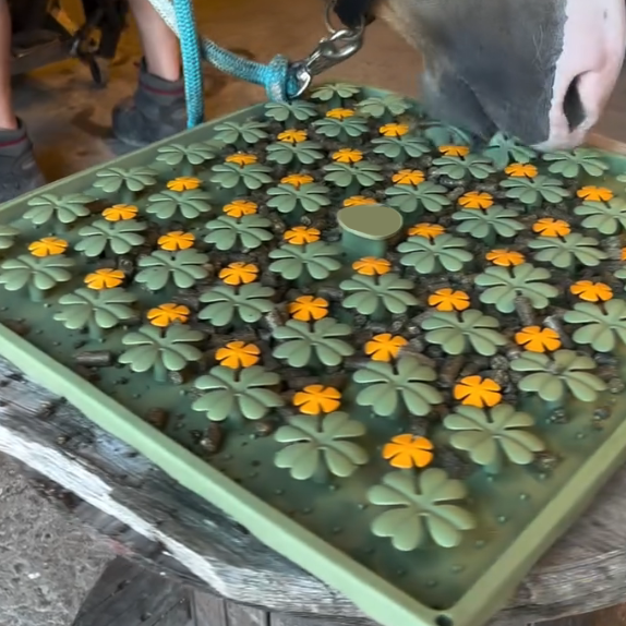 Feeding Activity Mat for Horses, Food-Grade Silicone, Stimulates Mental Development